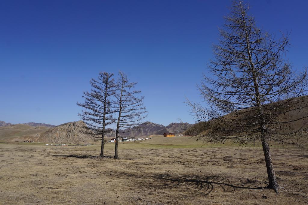 My Mongolia Eco Ger Camp Hotel Nalayh ภายนอก รูปภาพ
