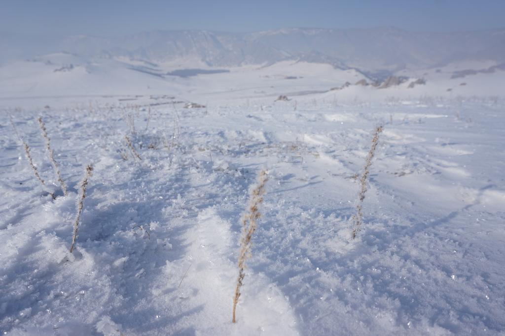 My Mongolia Eco Ger Camp Hotel Nalayh ภายนอก รูปภาพ