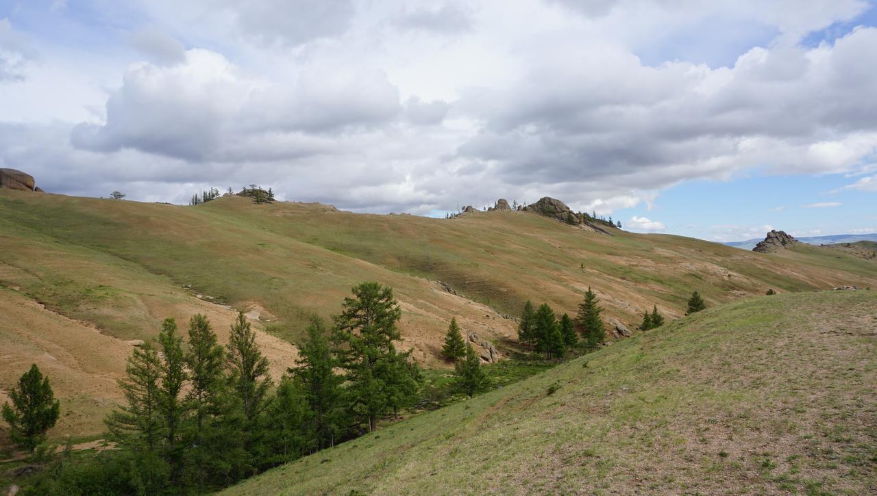 My Mongolia Eco Ger Camp Hotel Nalayh ภายนอก รูปภาพ